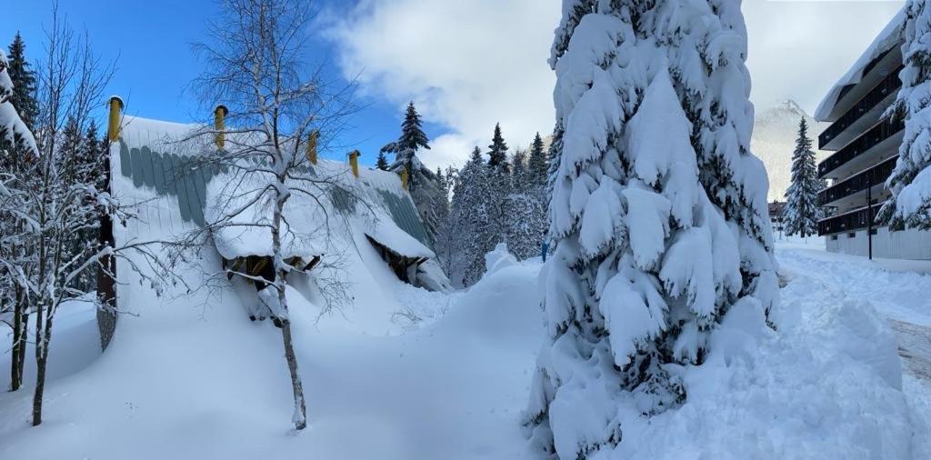 ~Chalet_Rifugio Tra I Boschi~ Sella Nevea Exterior photo