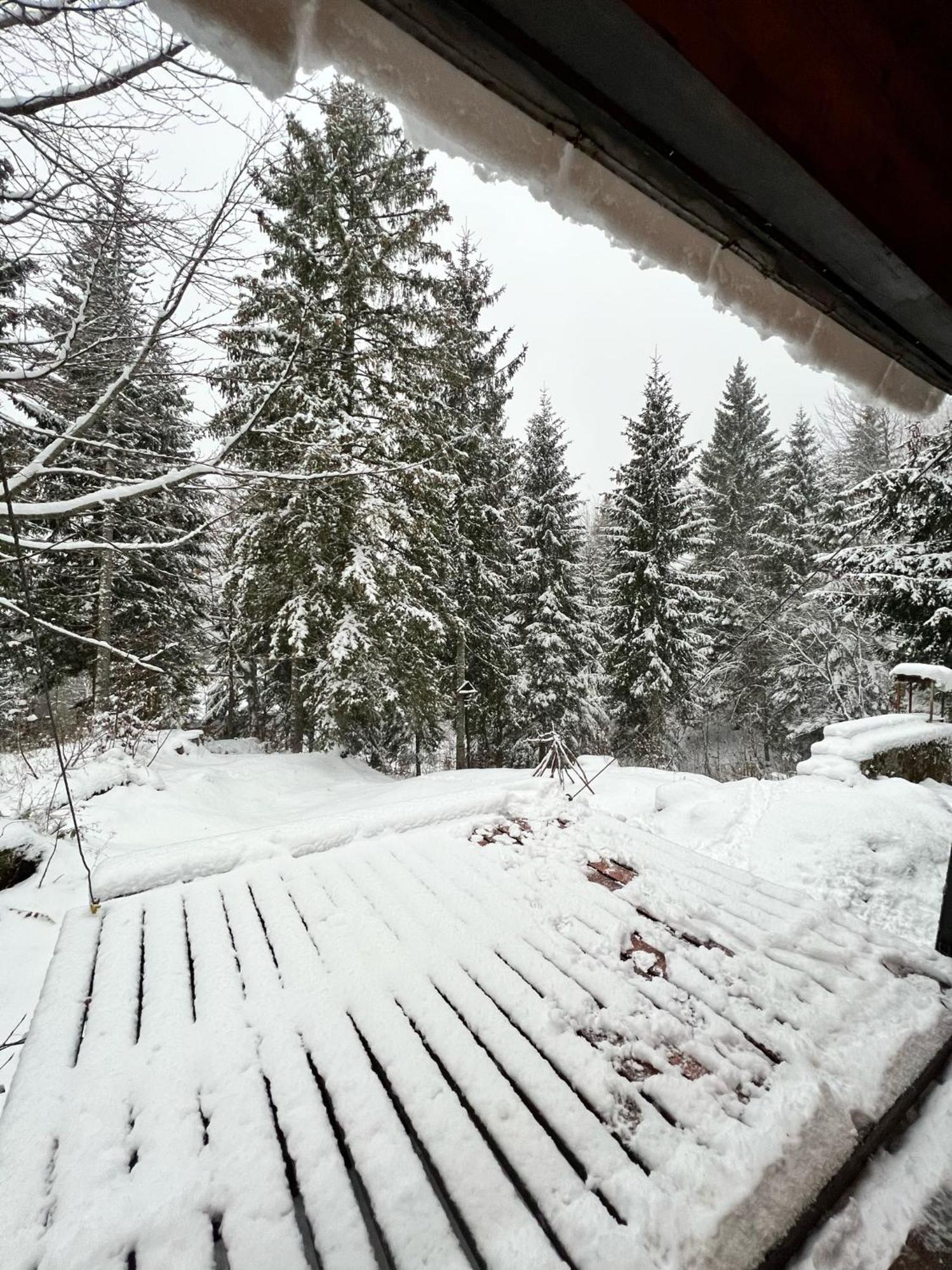 ~Chalet_Rifugio Tra I Boschi~ Sella Nevea Exterior photo